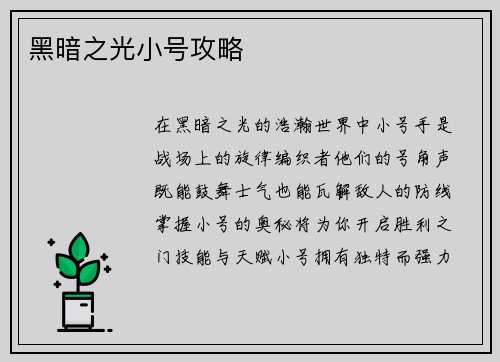 黑暗之光小号攻略